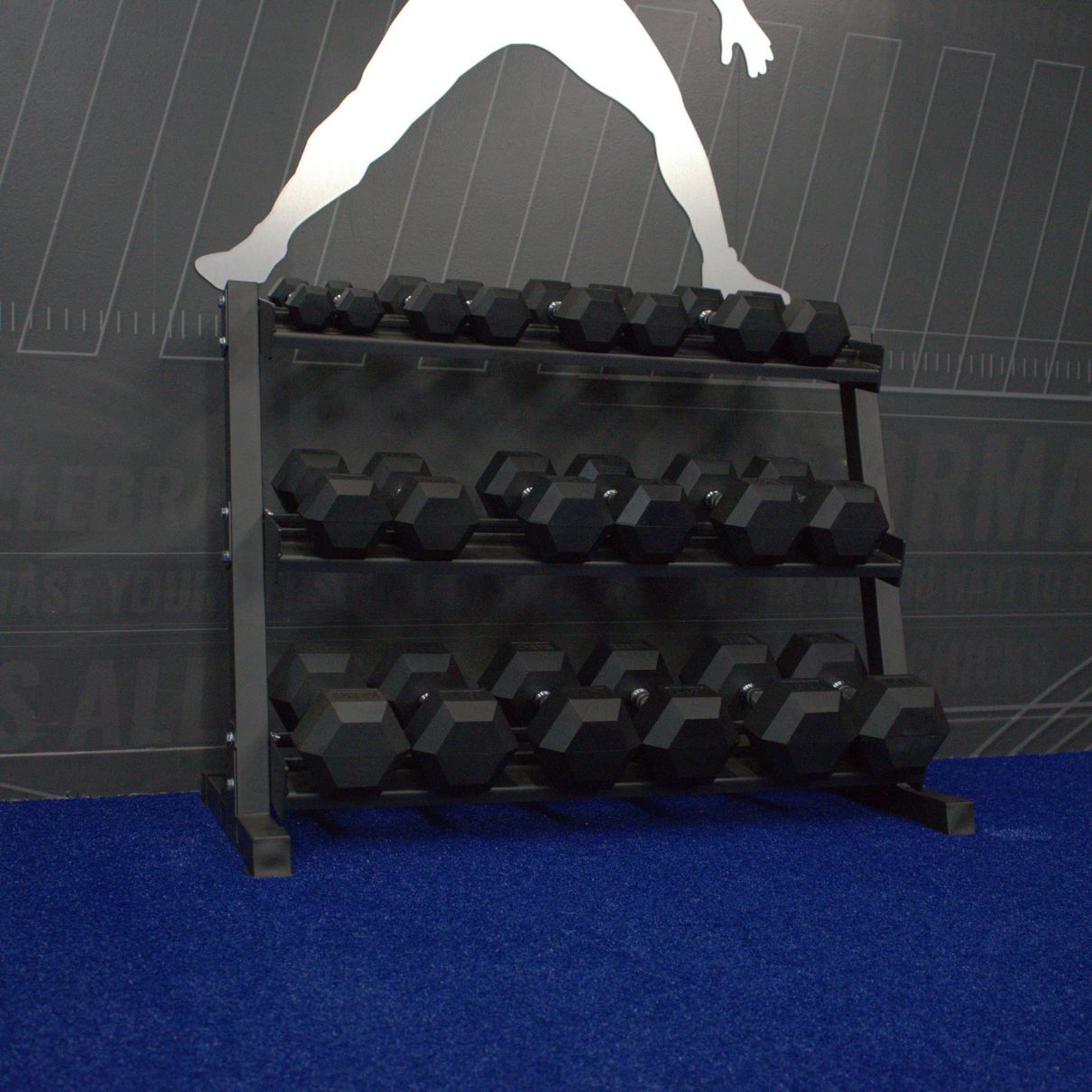 5-50 lb Dumbbell Set with 3-Tier Rack Gronk Fitness Products Dumbell racks, power block stand, plate and bar storage, kettlebell racks, ball racks 5_75bb0e2f-4395-4b23-b78b-ccfb06e9f4b9
