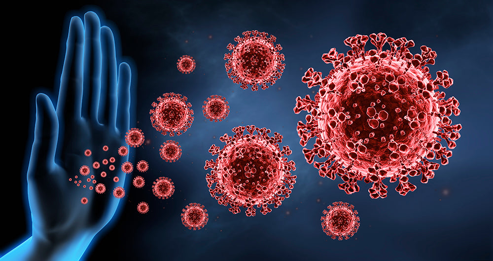 boost your immune system