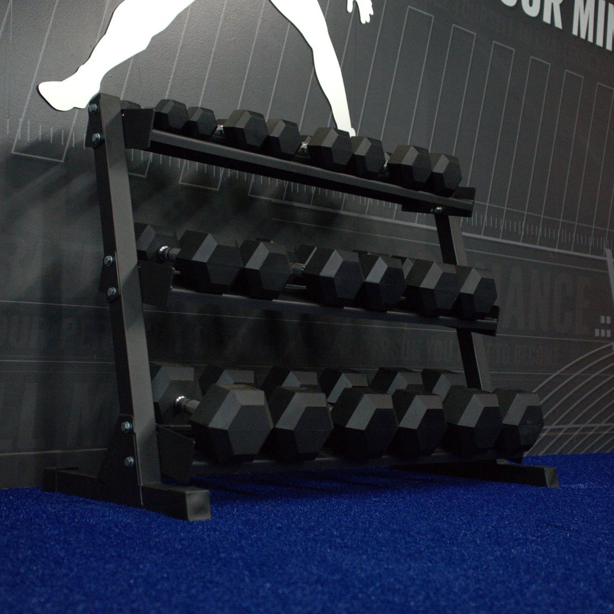 Gronk Fitness 3-Tier Dumbbell Storage Rack Gronk Fitness Products Dumbell racks, power block stand, plate and bar storage, kettlebell racks, ball racks gronkfitness_3-tier-dumbbell-storage-rack_view-5_5b79f6dd-7554-47c4-b678-7bd37fee3cf7