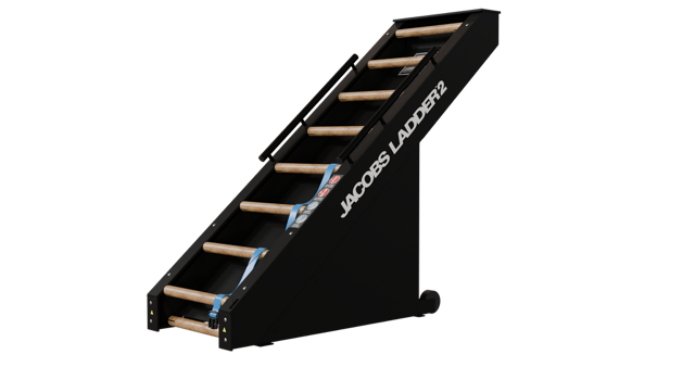 Jacobs Ladder 2 angled side view with wooden rungs