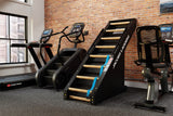 Jacobs Ladder 2 in gym setting with wooden rungs